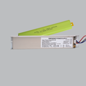 GIANINI-D48W-EMERGENCY POWER SUPPLY